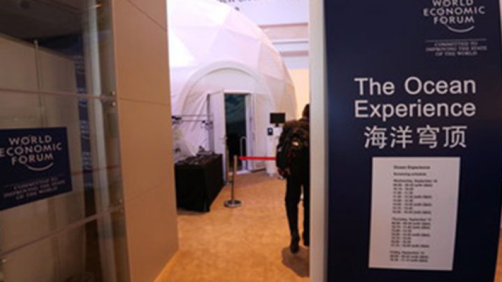 WEF_04a
